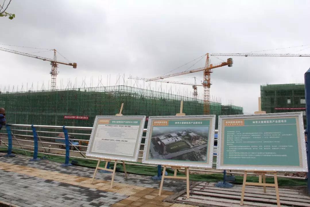 贵阳市市长陈晏调研尊龙大健康医药产业园3.jpg